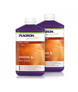 Plagron Cocos A + B