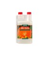 Canna PK 13-14 Canna PK 13-14