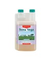 Canna Terra Vega
