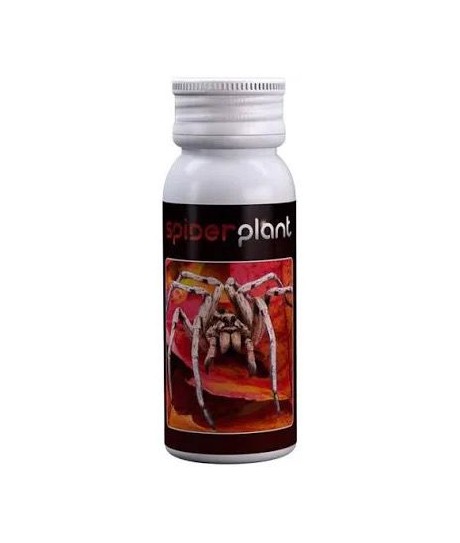 Agrobacterias - Spider Plant (15ml)