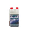 Canna Rhizotonic